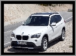 Dach, BMW X1, Szklany