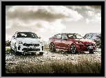 Kia Stinger, Dwa, Samochody