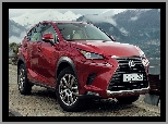 Lexus, NX