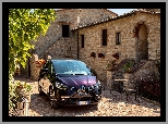 Renault Scenic IV, Dom