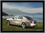 Tył, Bentley Mulsanne, Lampy