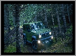 2019, Suzuki Jimny, Zielone